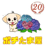 店铺Logo