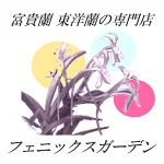 店铺Logo