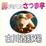 店铺Logo
