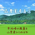 店铺Logo