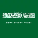店铺Logo