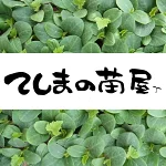 店铺Logo