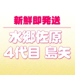 店铺Logo