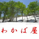 店铺Logo
