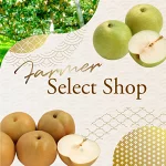 店铺Logo