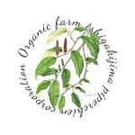 店铺Logo