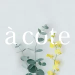 店铺Logo