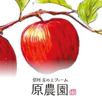 店铺Logo